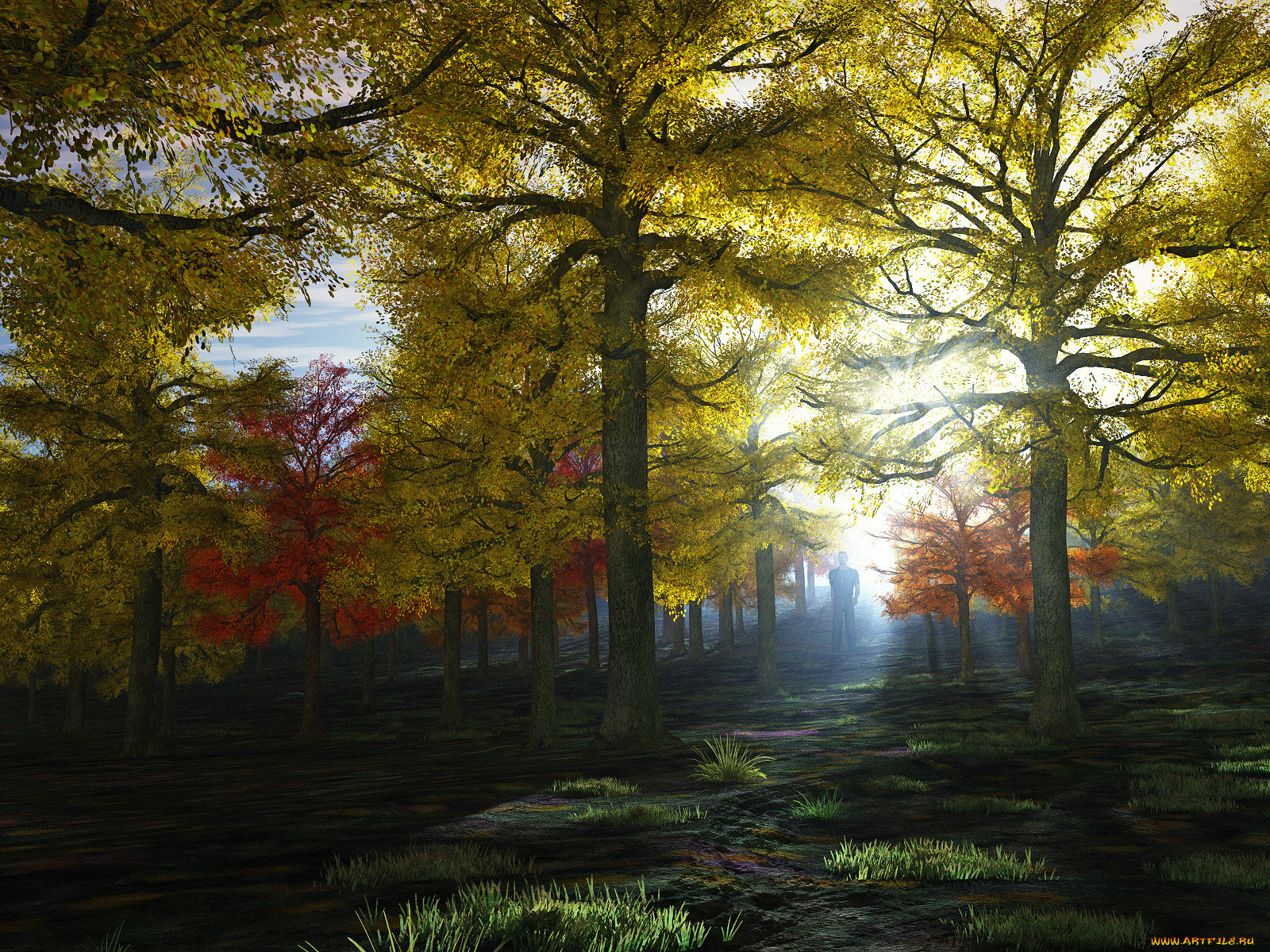 3, , nature, landscape, , , 
